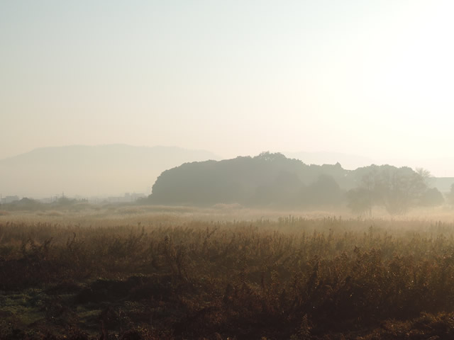 自然・風景へ