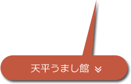 天平うまし館