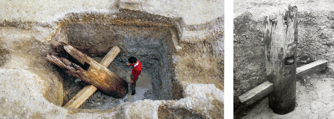 発掘調査でみつかった平城宮最大の柱根