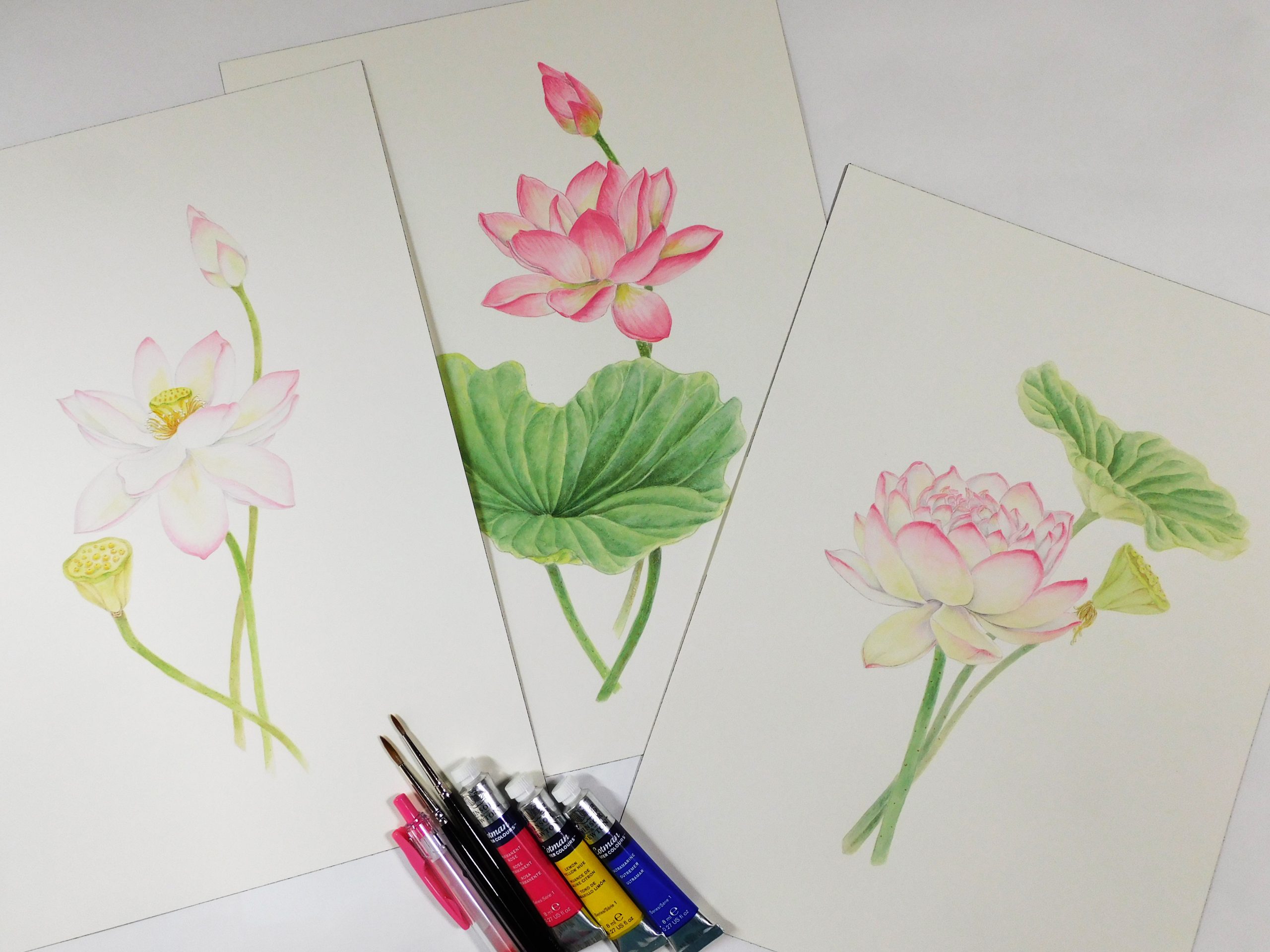 【花蓮の交流展関連イベント】写しハス