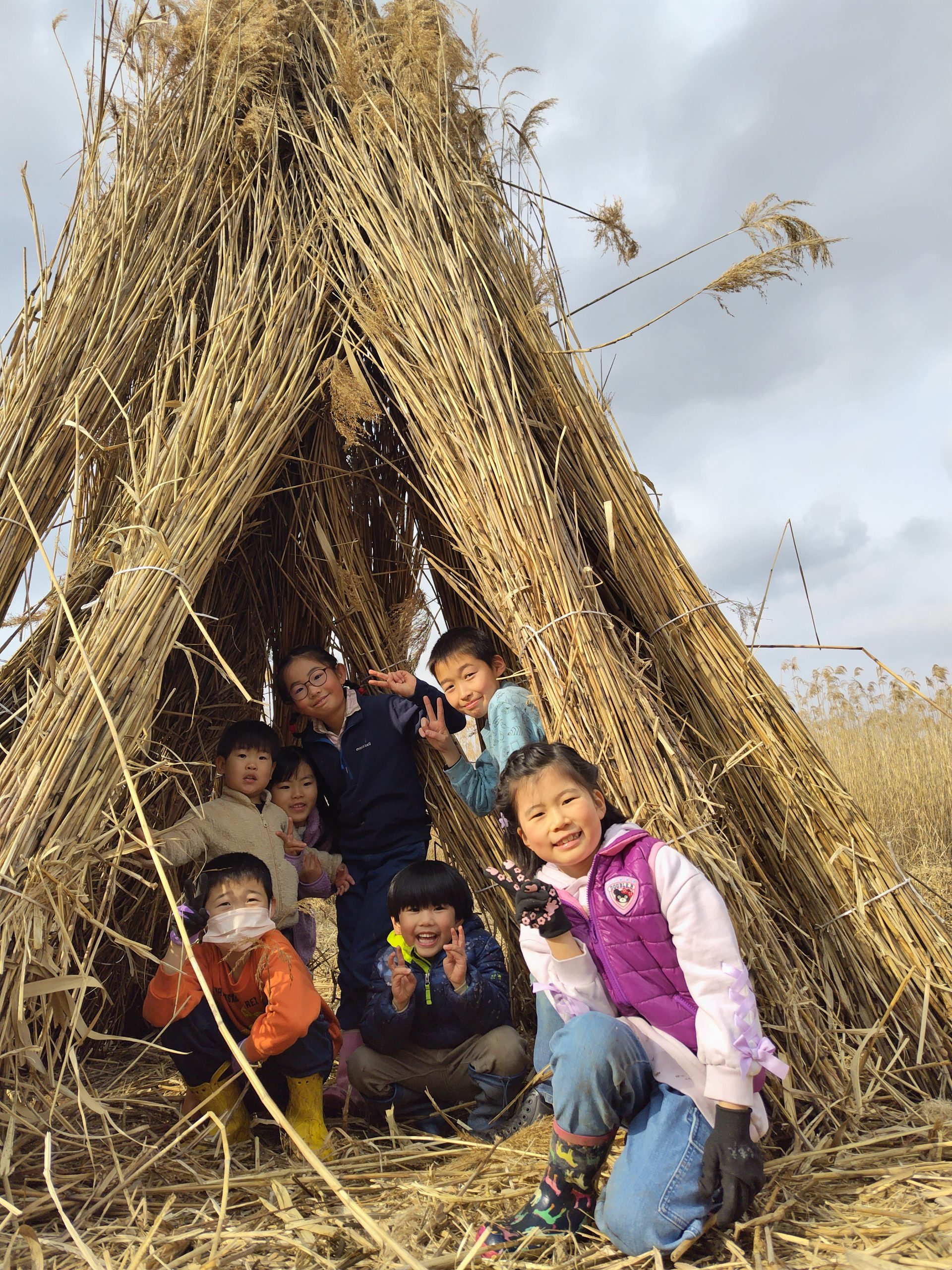 平城宮跡いきものレンジャー「まもれツバメのねぐら!大作戦」